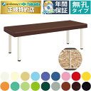 【ポイント6倍】高田ベッド 無孔DXエコベッド マッサージベッド 整体ベッド 診察台 施術台 エステベッド 施術用ベッド 治療ベッド 業務用ベッド ボディベッド アロマベッド 低コスト 安い 国産 TB-1453
