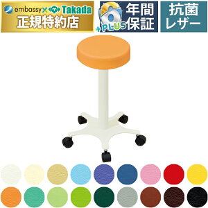 y|Cg6{zSTnC`FA[iLX^[tj Y TB-520-03 ycxbh {p`FAzpi i {p`FA Xc[ CX ܂֎q ۈ֎q 60cm nC^Cv