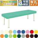 【ポイント6倍】高田ベッド 有孔外脚DXベッド マッサージベッド ボディベッド 施術台 施術ベッド 治療用ベッド 診察台 エステベッド 国産 TB-585U