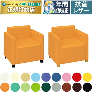 y|Cg6{zcxbh DS`FA[ {݌  `FA[ ҂ ҍ _CjO r[ GgX NjbN ړI Ɩp a@   ֎q CX  Y TB-797