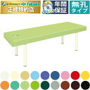 【ポイント6倍】高田ベッド 無孔DXマッサージベッド 整体 ベッド 脚部内脚 診察台 施術台 エステベッド 施術用ベッド 治療台 医療用ベッド アロマベッド リラクゼーション 国産 TB-908