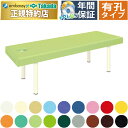 【ポイント6倍】高田ベッド 有孔DXマッサージベッド マッサージベッド 整体ベッド 整体 ベッド 脚部内脚 診察台 施術台 エステベッド 施術用ベッド 治療台 医療用ベッド アロマベッド リラクゼーション 国産 TB-908U