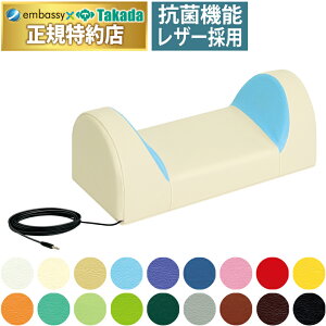 【ポイント6倍】高田ベッド 楽音マクラ 多目的マクラ リラクゼーション 施術補助 スピーカー内蔵 らくおんまくら TB-77c-188