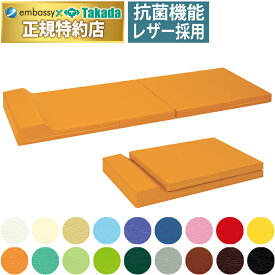 【ポイント6倍】高田ベッド 二つ折れ仮眠マット マット 折りたたみ 仮眠マット マッサージマット 仮眠クッション スパ リラクゼーション 国産 TB-818