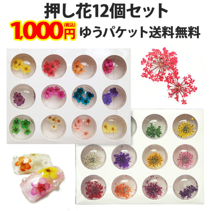 楽天市場 ドライフラワー 押し花or小花 12個 セット フラワー 花 茎 花束 デザイン ジェルネイル スカルプネイル レジンアクセサリー レジン デコ 春 夏 カラフル ポップ ネイルデザイン 1000円ポッキリ ポッキリ ぽっきり ポイント消化 メール便送料無料 あす楽