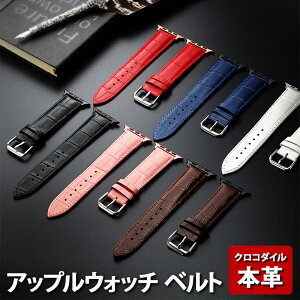 AbvEHb` xgyNR_C {vzApple Watch Abv EHb` SE Series V[Y 1 2 3 4 5 6 38mm 40mm 42mm 44mm oh xg {v v  U[ NR j { ȒP j 