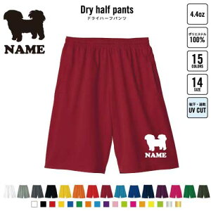 V[Y[ ʃhbOVGbg oXp hCn[tpc hCf n[tpc X|[cp ^p i  X|[c ANeBu ^p p n[p Y{ Z