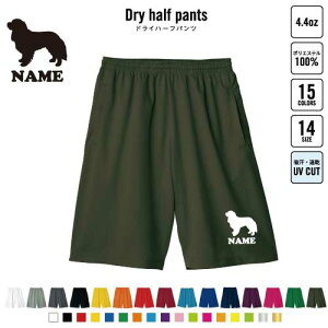 LoA ʃhbOVGbg oXp hCn[tpc hCf n[tpc X|[cp ^p i  X|[c ANeBu ^p p n[p Y{ 