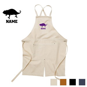 JI Gv EHbVLoX cCGv NX^Cv [NGv fj CfBS L ubN i` JtFGv chamaeleonA঒ށA H