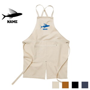 grEI Gv EHbVLoX cCGv NX^Cv [NGv fj CfBS L ubN i` JtFGv 򋛁AASAFlying fish H