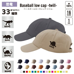  x[X{[[Lbv cCLbv 싅X [Lbv BBLbv co t[TCY Y fB[X   킢  oXPbg{[ ċ ObY 