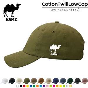 N_/RbgcC[Lbv  Xq Lbv UVJbg MǑ΍ UV΍ 悯 jO AEghA WMO O 킢  pk Camelus L L