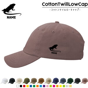 uCOAiv /RbgcC[Lbv  Xq Lbv UVJbg MǑ΍ UV΍ 悯 jO AEghA WMO O 킢  ঒ Lbv 