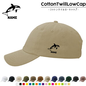 uV`v /RbgcC[Lbv  Xq Lbv UVJbg MǑ΍ UV΍ 悯 jO AEghA WMO O 킢  C̉ ŋ Killer Whale or