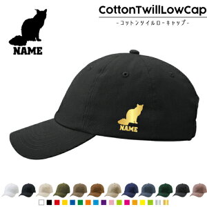 oj[Y RbgcC[Lbv  Xq Lbv UVJbg MǑ΍ UV΍ 悯 jO AEghA WMO O 킢  L@lR@˂@Lbg