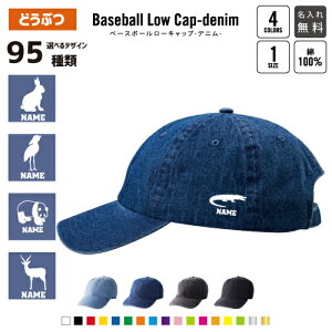  x[X{[fj[Lbv fjLbv 싅X [Lbv BBLbv co t[TCY Y fB[X   킢  oXPbg{[ ċ 