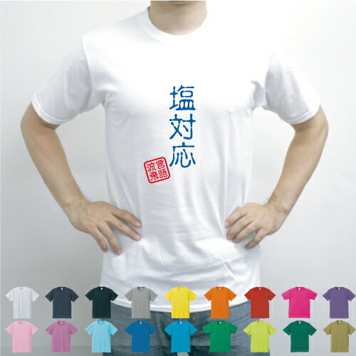 楽天市場 ポイント7倍 塩対応 流言飛語 面白t 文字tシャツ 14年流行語 文字tシャツ 半袖tシャツ アメカジ アメリカンカジュアル B系 ストリート インパクトtシャツ 日本語 漢字 お土産 クールジャパン メンズ レディース キッズ Emblem楽天市場店 楽天市場 ポイント7倍 塩対応 流言飛語 面白t 文字tシャツ 14年流行語 文字tシャツ 半袖tシャツ アメカジ アメリカンカジュアル B系 ストリート インパクトtシャツ 日本語 漢字 お土産 クールジャパン メンズ レディース キッズ Emblem楽天市場店