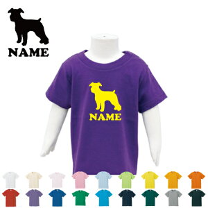 u~j`AViEU[2vʃhbOVGbg TVc xr[ LbY O q LbYEFA ǂ ct ۈ牀 wZ xr[EFA ĕ ċx o 