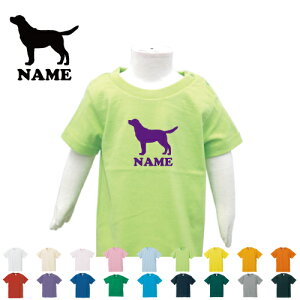 uuh[go[vʃhbOVGbg TVc xr[ LbY O q LbYEFA ǂ ct ۈ牀 wZ xr[EFA ĕ ċx o W