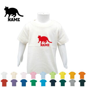 ueBbVEV[gwA[3 TVc xr[ LbY O q LbYEFA ǂ ct ۈ牀 wZ ĕ L@lR@˂@Lbg@ybg  TVc T