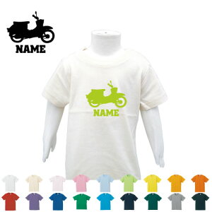 oCN6 TVc xr[ LbY O q LbYEFA ǂ ct ۈ牀 wZ ĕ 蕨@`[@Pԁ@  TVc TVc