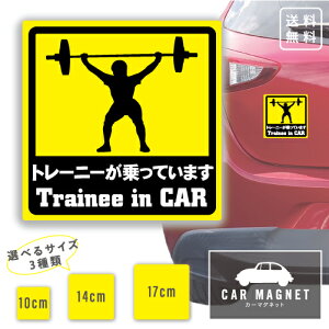 ug[j[Ă܂ Trainee in Carv}Olbg ؃g ԗp A 㕔 }Olbg 0.8  