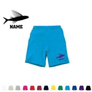 ugrEIv@XEFbgn[tpc |Cg i  ^X|[c _X W tBbglX V[gpc Zp Y{ Rbg 100 򋛁AASAFlying fi