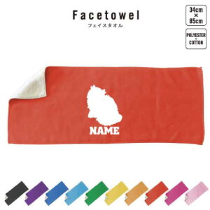 エキゾチックロングヘアー 名入れフェイスタオル 10色展開 ハイブリッドタオル 名入れ タオル スポーツタオル ふんわり厚手 猫 ネコ ねこ キャット ペット プレゼント お祝い 贈り物