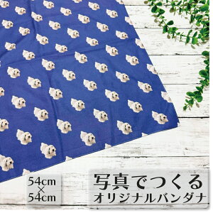 写真でつくるシリーズ オリジナルバンダナ バンダナ作成 20色 柄 ポリエステル 定番サイズ ナフキン ランチクロス 弁当箱包み オリジナルハンカチ ペイズリー 柄 写真 ワンポイント 大判 選