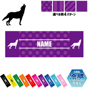 uIIJ~v⊴^I p^I N[^I XgCv hbg  ^I |GXe lbN^I N[  PA ΍ MǑ΍ X|[c^I ^ ̈