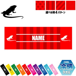 uCOAiv⊴^I p^I N[^I XgCv hbg  ^I |GXe lbN^I N[  PA ΍ MǑ΍ X|[c^I ^ ̈