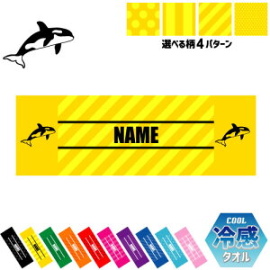 uV`v⊴^I p^I N[^I XgCv hbg  ^I |GXe lbN^I N[  PA ΍ MǑ΍ X|[c^I ^ ̈