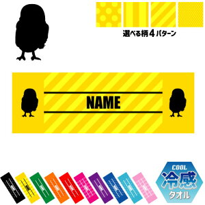 utNEv⊴^I p^I N[^I XgCv hbg  lbN^I N[  PA ΍ MǑ΍ X|[c^I ^ ̈ AX̕m蔎m