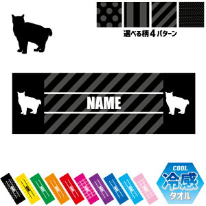 AJ{ueC ⊴^I p^I N[^I XgCv hbg  ^I |GXe lbN^I N[  PA ΍ MǑ΍ X|[c^I L