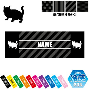 AJJ[ ⊴^I p^I N[^I XgCv hbg  ^I |GXe lbN^I N[  PA ΍ MǑ΍ X|[c^I L@l