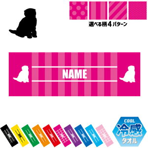 XReBbVtH[h3 ⊴^I p^I N[^I XgCv hbg  ^I |GXe lbN^I N[  PA ΍ MǑ΍ X|[c^I