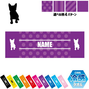 gC{u ⊴^I p^I N[^I XgCv hbg  ^I |GXe lbN^I N[  PA ΍ MǑ΍ X|[c^I L@lR@˂