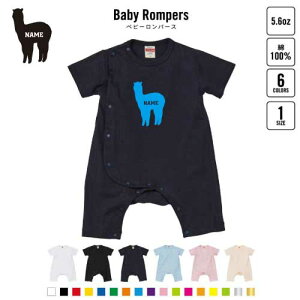 uApJvxr[Jo[I[ OJ SgJ p[X  oYj xr[ V 80TCY 100   pW} Jo[I[ {fBX[c xr[X[c 玙 Pre-mo