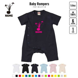 uؓvxr[Jo[I[ OJ SgJ p[X  oYj xr[ V 80TCY 100   pW} Jo[I[ {fBX[c Pre-mo O ԓ  