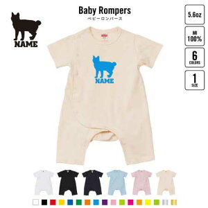 Wpj[Y{ueC xr[Jo[I[ OJ SgJ p[X  oYj xr[ V 80TCY 100   pW} Jo[I[ {fBX[c L@lR@