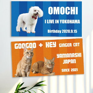 IWioX^I ʐ^ł I[_[Ch oX^I 䂪q ̎ʐ^ p  D h CX^f f ʐ^f Upi ObY I[i[YACe  