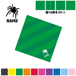 「クモ」名入れマルチクロス メガネ拭き 液晶拭き スマホ拭き PC OA ミニタペストリー 敷き物【SPMC】 昆虫