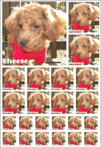 uʐ^łtHgXebJ[vA4TCY IWiXebJ[   L L ybg  ɂ Ƒ LOʐ^ tHgObY tHgvg O  l[ hbO L