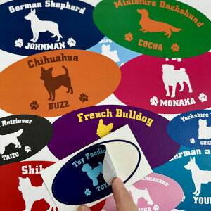  OXebJ[/IWiXebJ[  ̖O V[ UVH ԗpi J[pi J[XebJ[ JX^ Ԃɓ\ĈAs[ I[i[YObY 傳ObY 