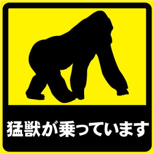 uҏbĂ܂vJ[XebJ[ [AV[ [AXebJ[ V[ J[pi  car UVH h JX^ \ \ S