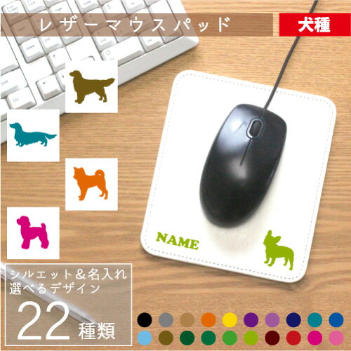 ブラックマウスカー：犬種の特徴とケア