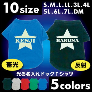 光る名入れドッグTシャツ「スター」 反射タイプ 蓄光タイプ 発光 夜光塗料 お散歩グッズdt_hikaru【EDT】