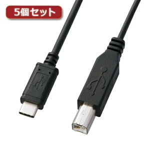 5�Z�b�g �T�����T�v���C USB2.0TypeC-B�P�[�u�� KU-CB20X5