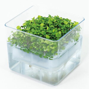 ARTEC ���k�͔|���j�b�g �x�r�[���[�t�~�b�N�X ATC102966