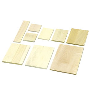 ARTEC ؒ p A(220x160x14mm) ATC30510